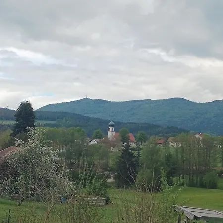 - Utulny Rodinny Blizko Sumava, Bavorsky Les, Hohenbogen, Grosser Arber, Bad Koetzing *